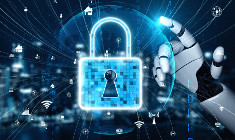 Digital Privacy: Understanding the Operational Framework